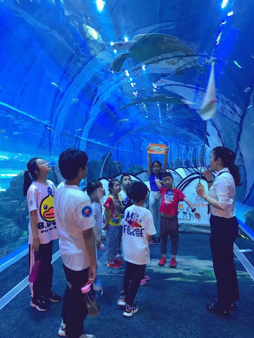 {網上賭場}(成都海洋馆介绍)